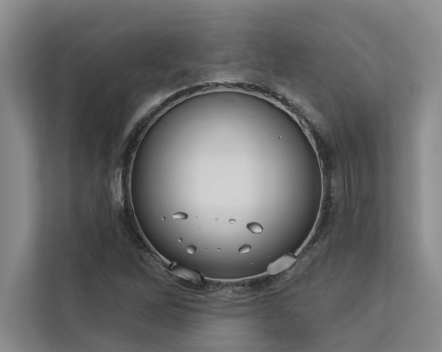 X0000113081262200908281216