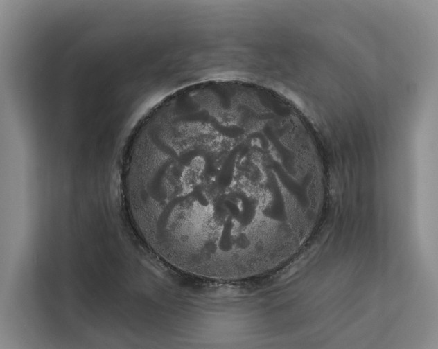 X0000113081263200908281216