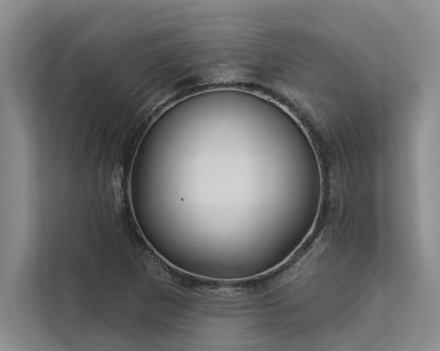 X0000113081265200908281216