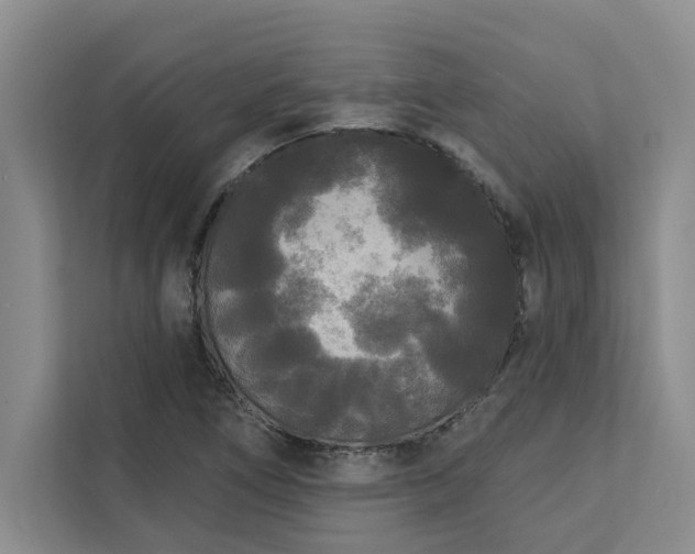 X0000113081266200908281216