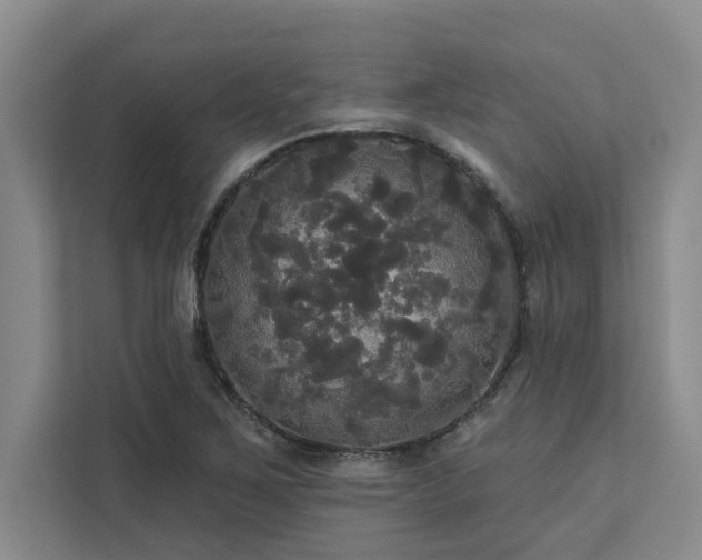 X0000113081267200908281216