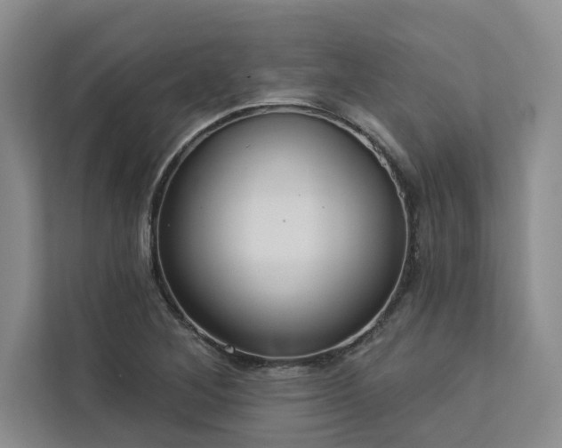 X0000113081268200908281216