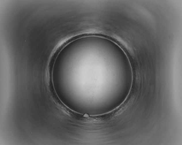 X0000113081270200908281216