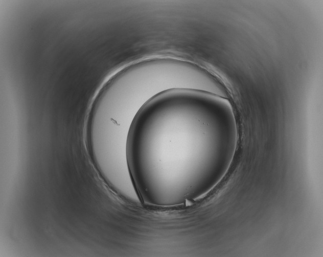 X0000113081272200908281216