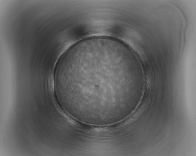 X0000113081274200908281216