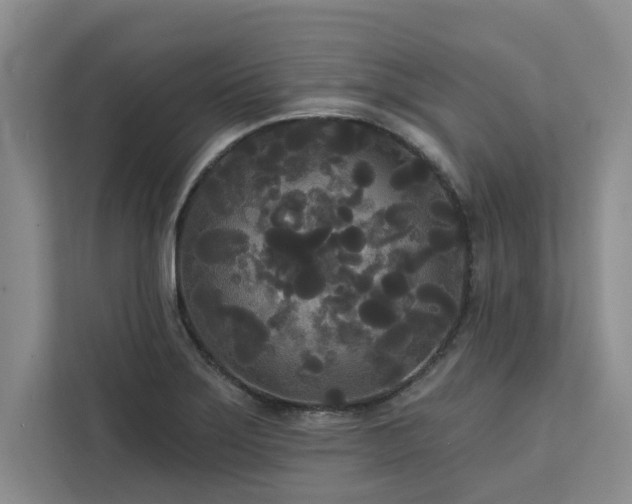 X0000113081275200908281216