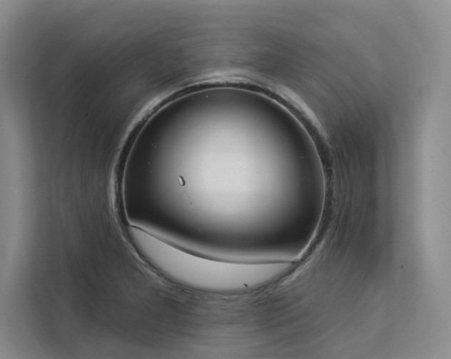 X0000113081277200908281216