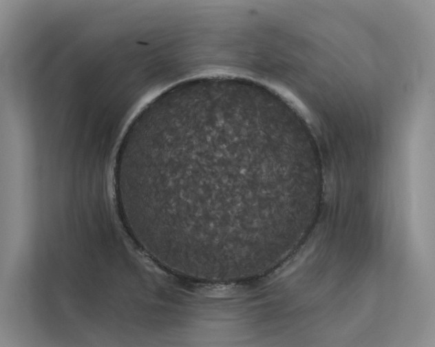 X0000113081279200908281216