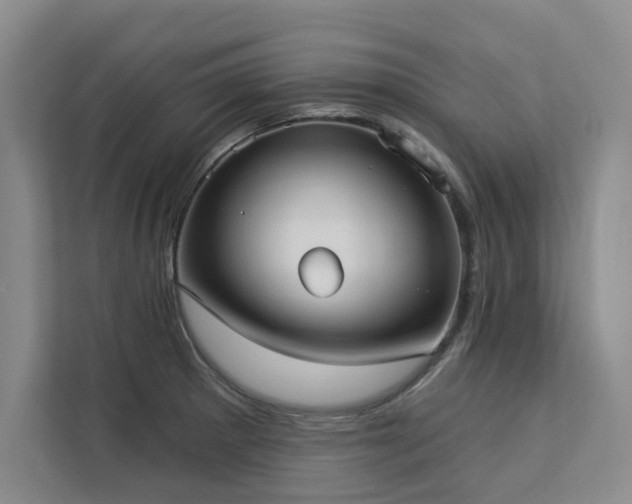 X0000113081281200908281216