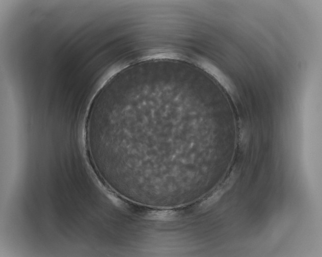 X0000113081282200908281216