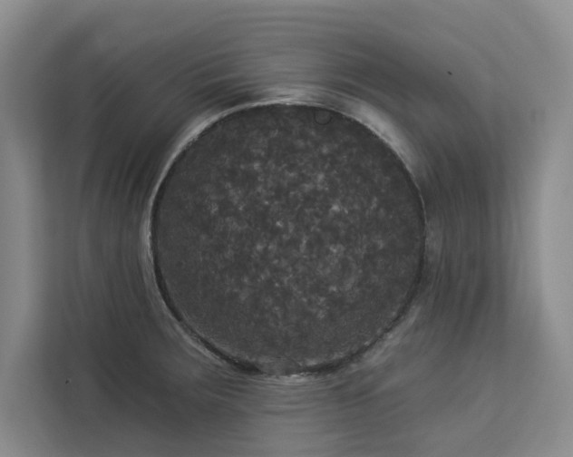 X0000113081283200908281216