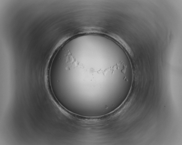 X0000113081285200908281216