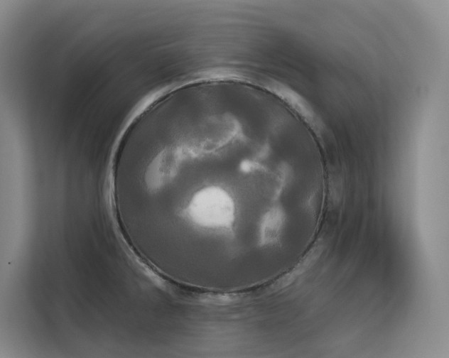 X0000113081286200908281216