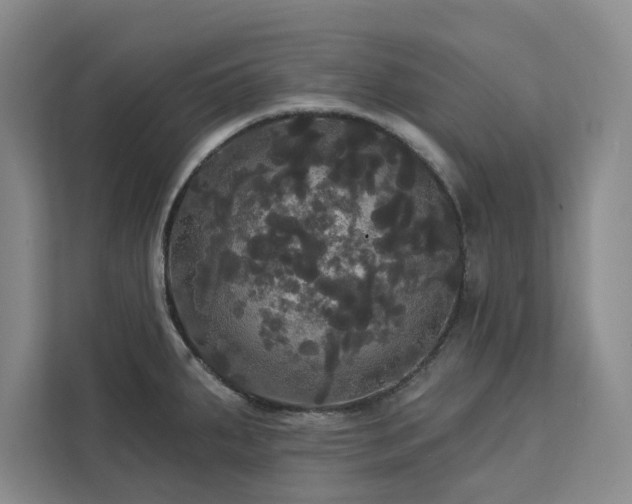 X0000113081287200908281216