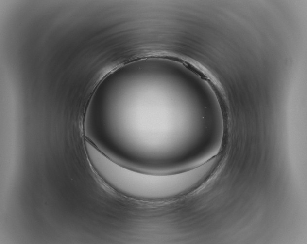 X0000113081289200908281216