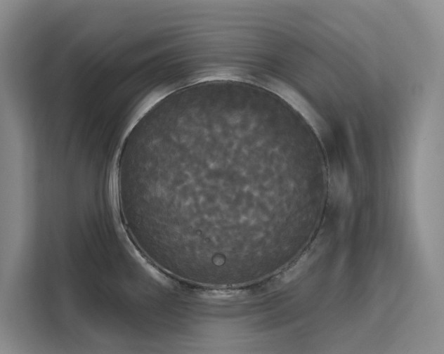 X0000113081290200908281216