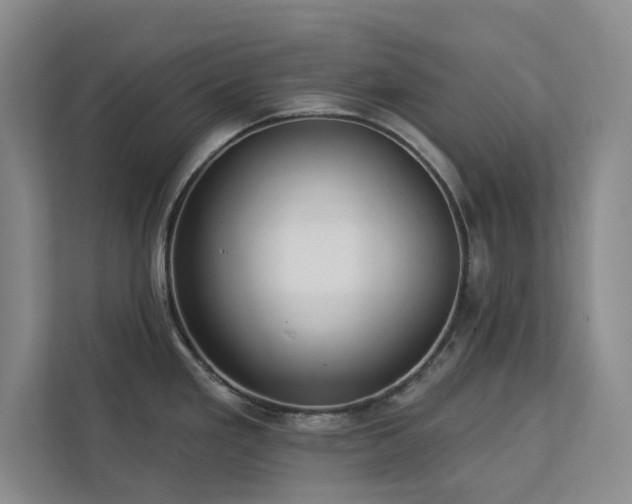 X0000113081293200908281215