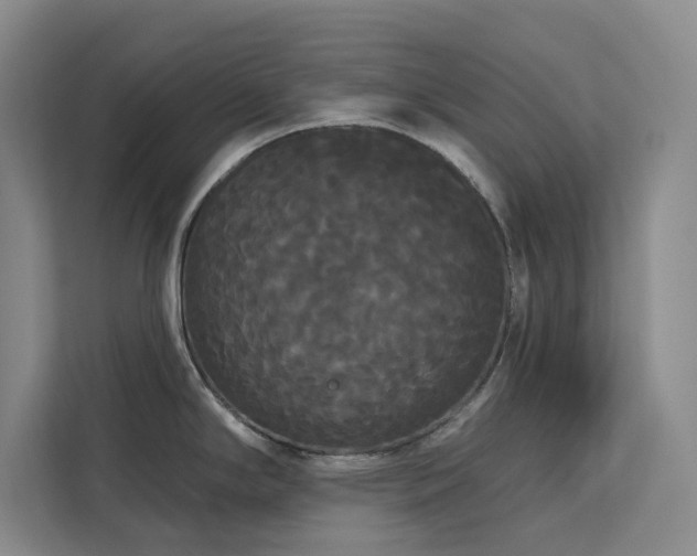 X0000113081294200908281215