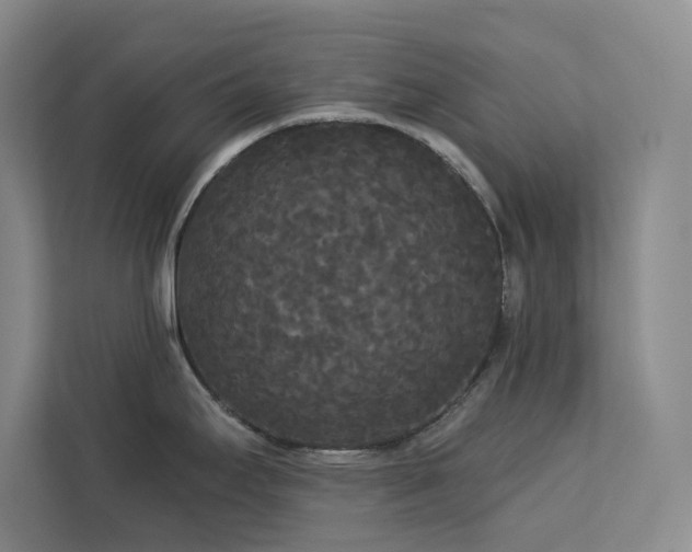 X0000113081295200908281215