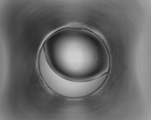 X0000113081296200908281215