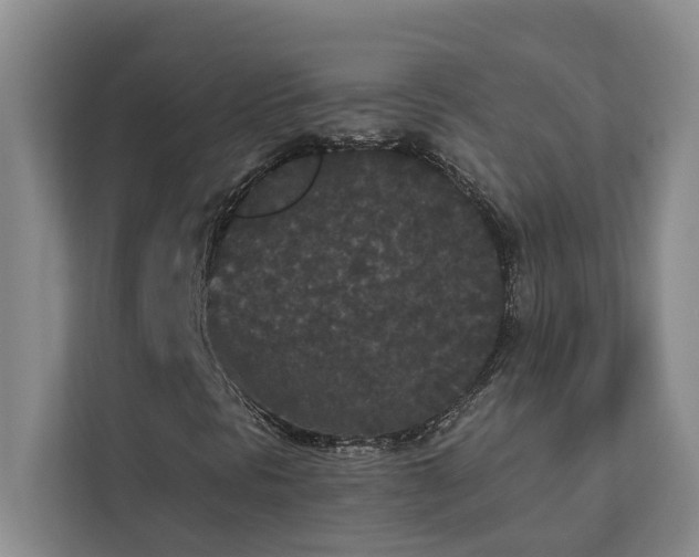 X0000113081297200908281215