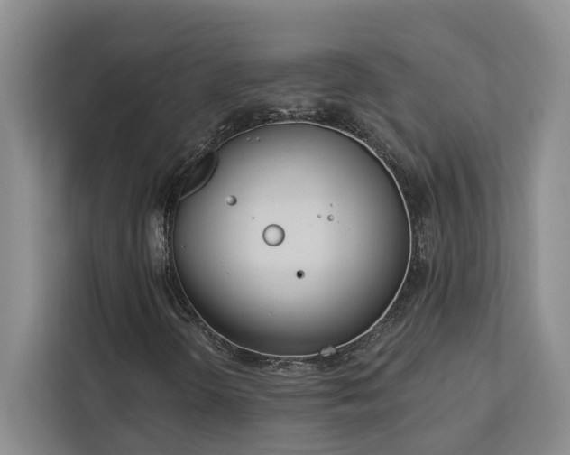 X0000113081298200908281215