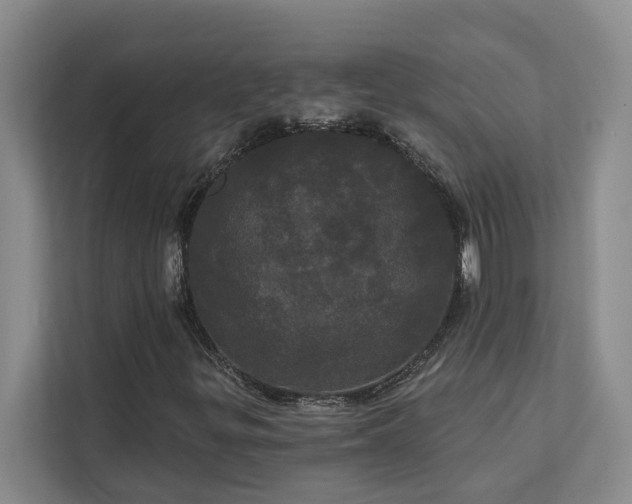 X0000113081299200908281215