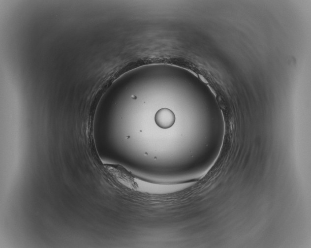 X0000113081300200908281215