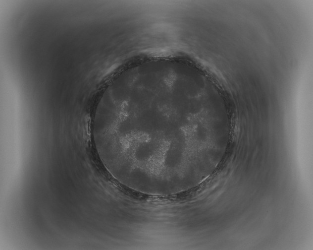 X0000113081301200908281215