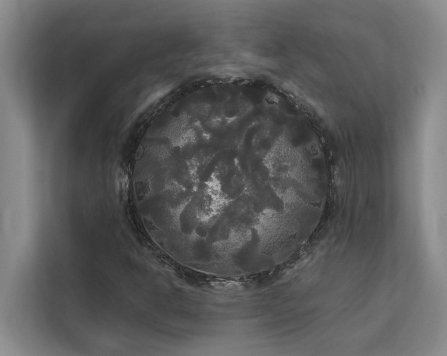 X0000113081302200908281215