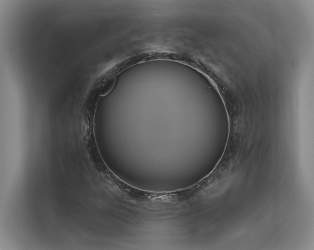 X0000113081303200908281215