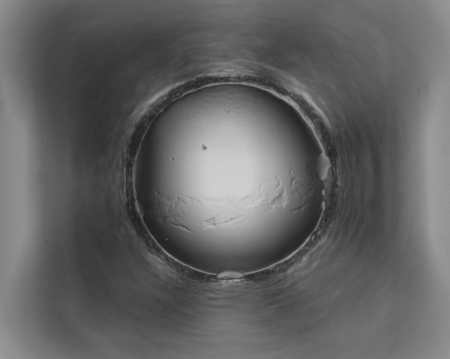 X0000113081304200908281215