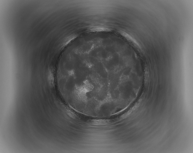 X0000113081305200908281215