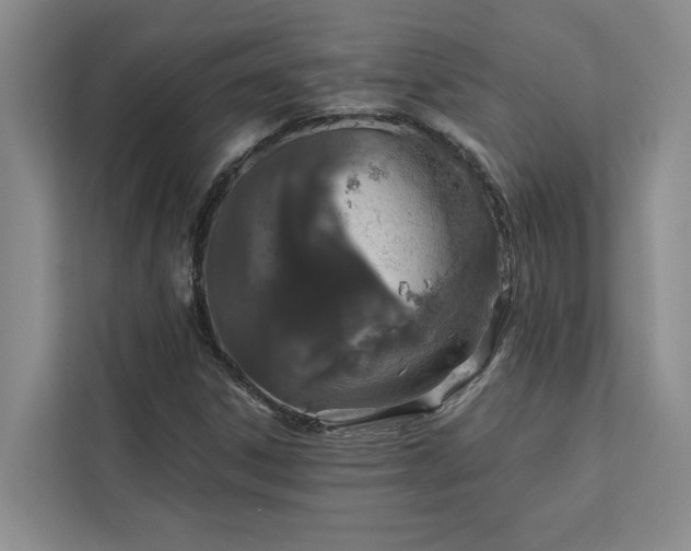 X0000113081306200908281215