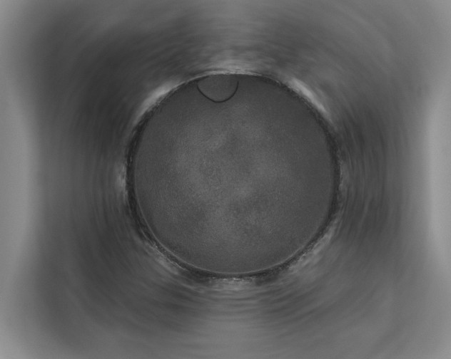 X0000113081307200908281215