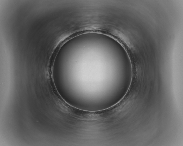 X0000113081308200908281215