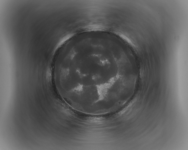 X0000113081309200908281215