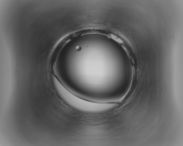 X0000113081310200908281215