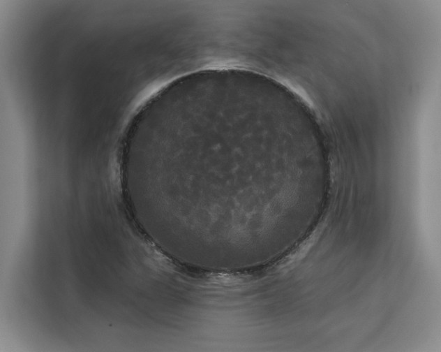 X0000113081311200908281215