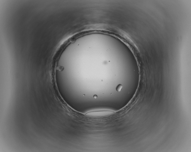 X0000113081312200908281215