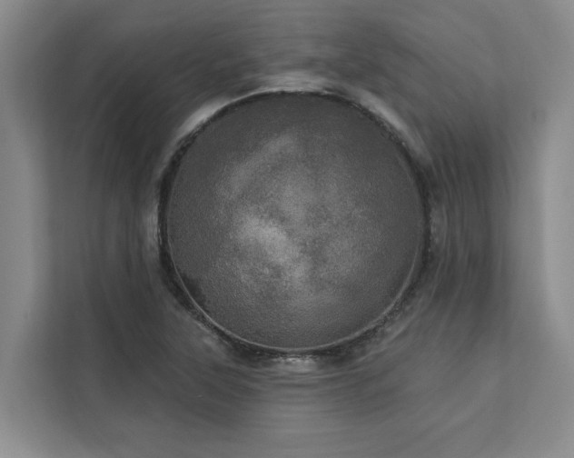 X0000113081315200908281215