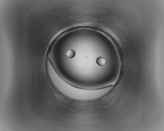 X0000113081316200908281215