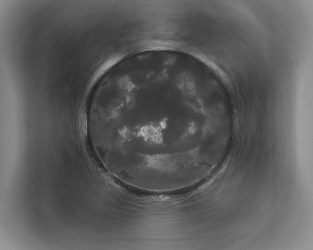 X0000113081317200908281215