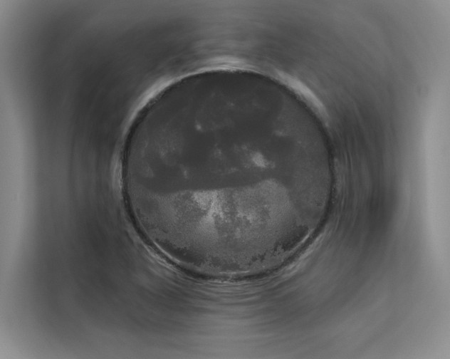 X0000113081318200908281215