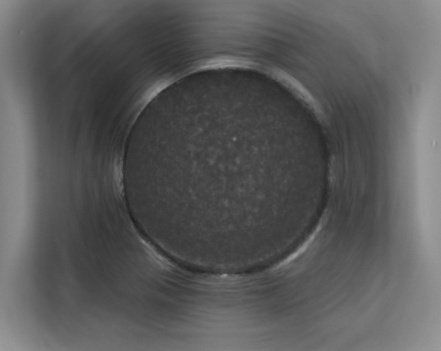 X0000113081321200908281215