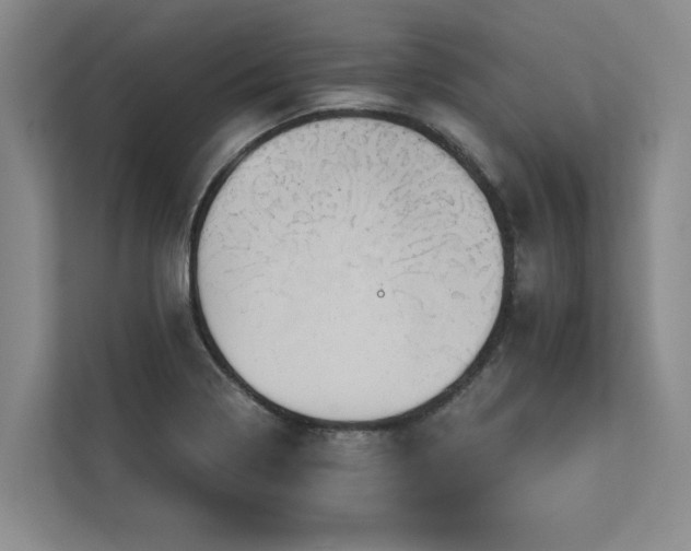 X0000113081322200908281215