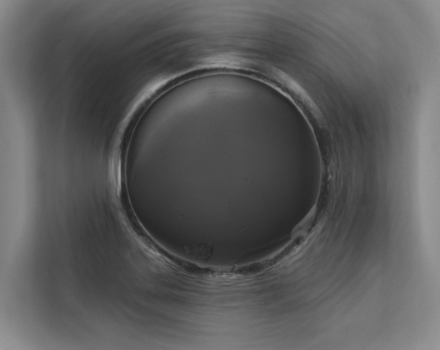 X0000113081323200908281215