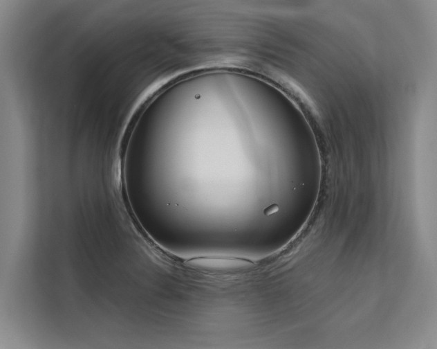 X0000113081324200908281215