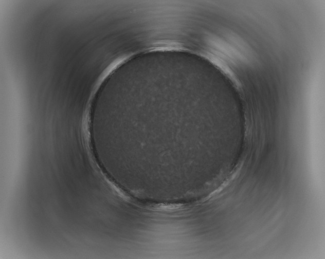 X0000113081325200908281215