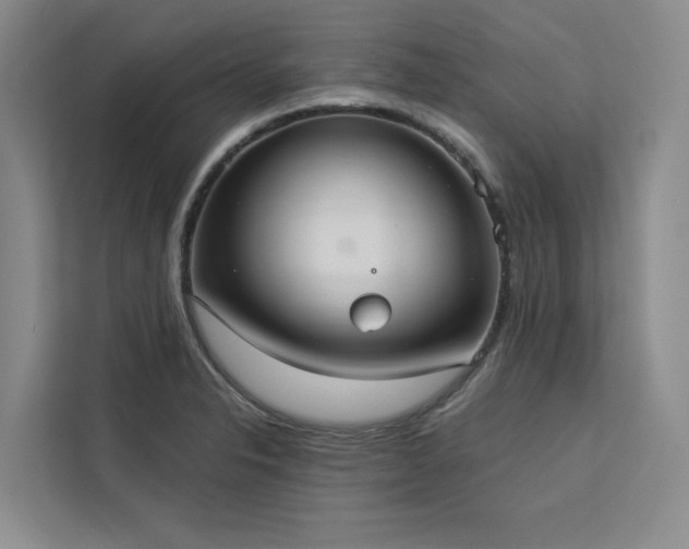 X0000113081326200908281215